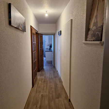 Nest Colmar