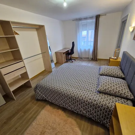 Nest Apartment Colmar